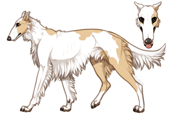 Pyrenean Wolfhound #0085