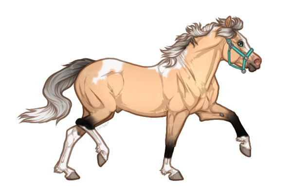 Ferox Welsh Pony #254 -  Silver Buckskin Tobiano