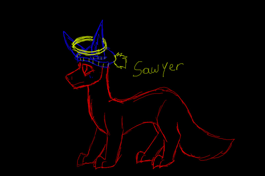 wip sawyer