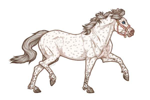 Ferox Welsh Pony #257 - Champagne Dun Leopard