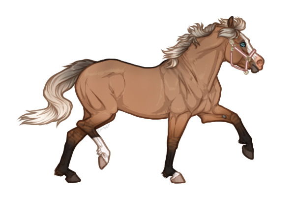 Ferox Welsh Pony #259 - Silver Bay Dun