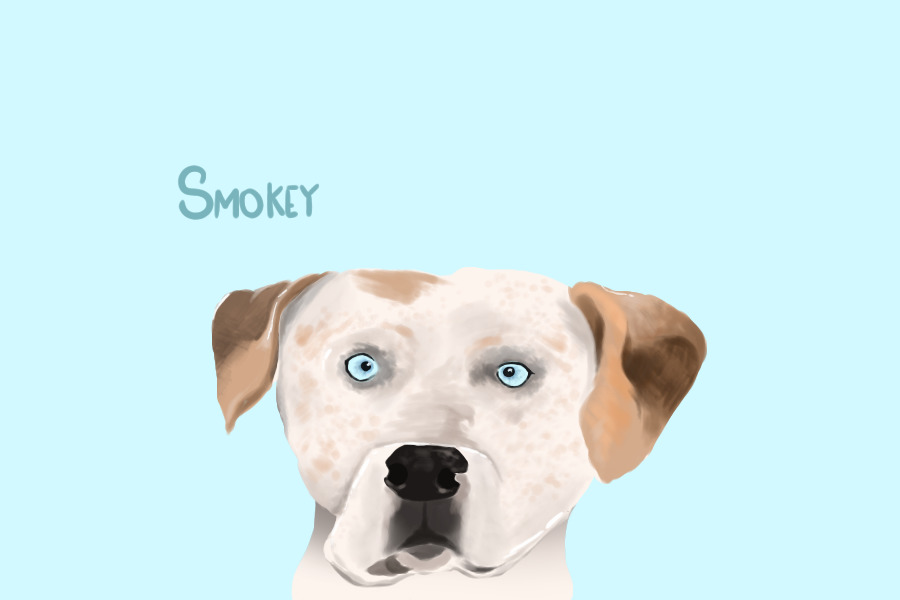 Smokey Boy