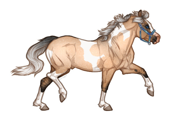 Ferox Welsh Pony #264 - Silver Dun Roan Tobiano
