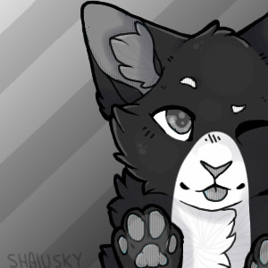 Oreo :3