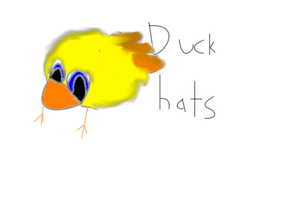 Duck hats!