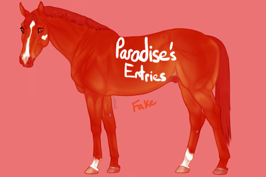 paradise's entries | euphorian thoroughbred entries