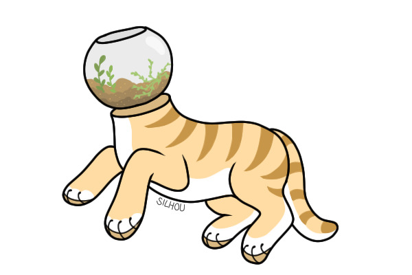 terrarium cat