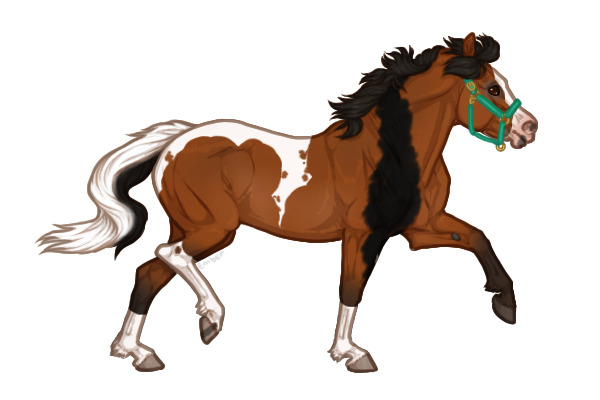 Ferox Welsh Pony #281 - Bay Tobiano Somatic