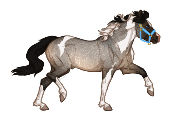 Ferox Welsh Pony #283 - Brown Dun Roan Tobiano