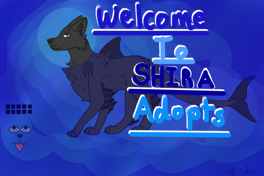 Shira Adopts