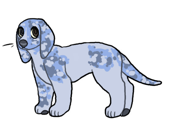 blue pup