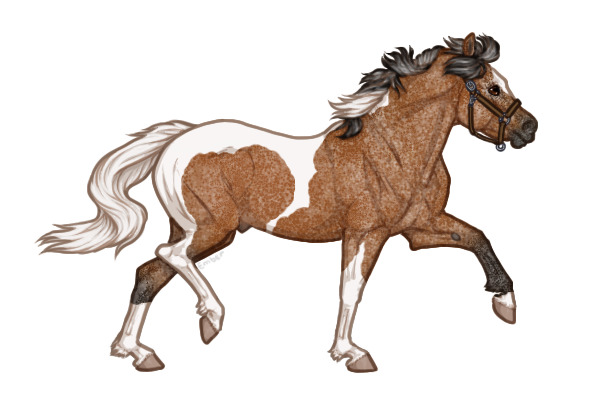 Ferox Welsh Pony #284 - Bay Varnish Roan Tobiano