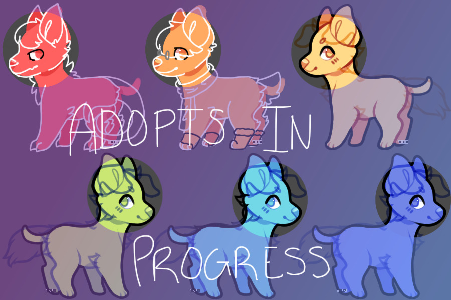 Adopts in Progress