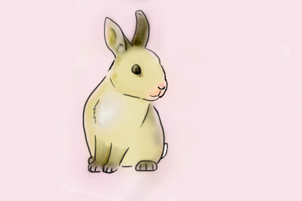 Bunny ♪♫♥♫♪