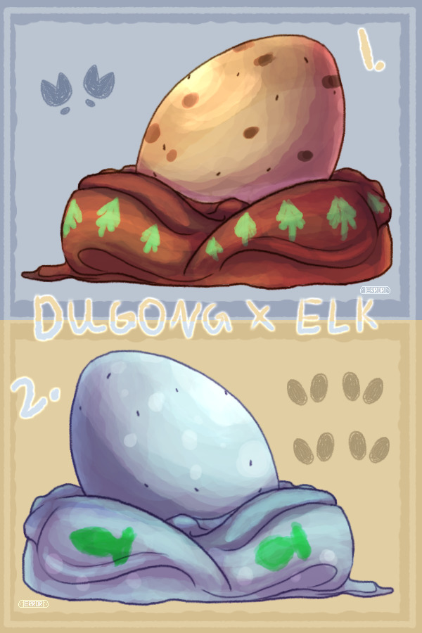 #1 & #2 | Dugong x Elk