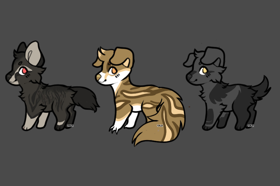 OPEN ADOPTS 3/3