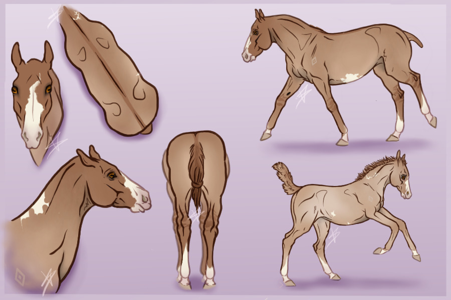 Dunn Up Pretty- no mane tail