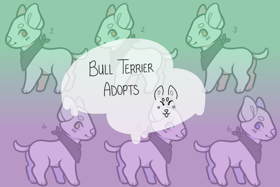 Bull Terrier Adopts
