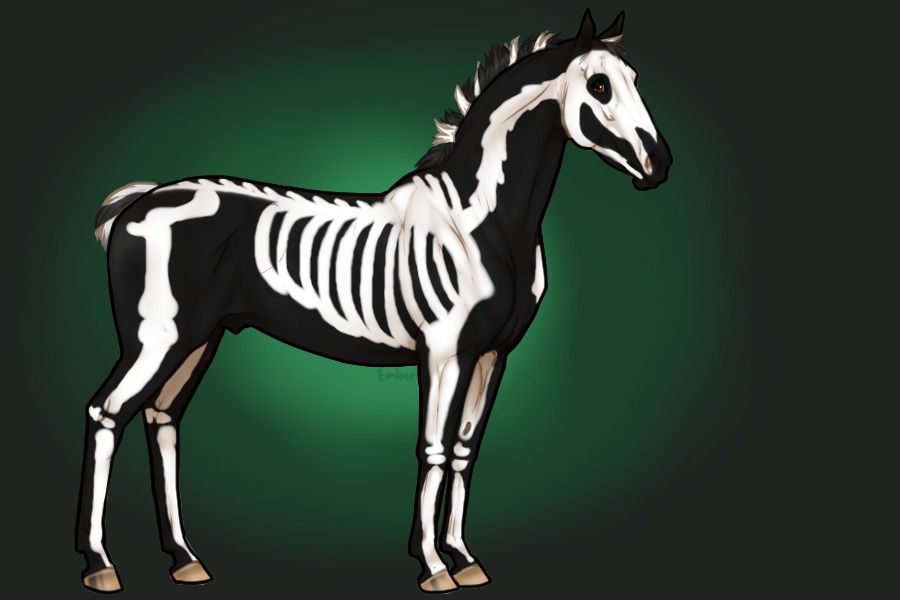 spooky equine - irregular black tobiano