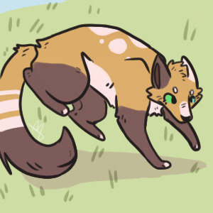 possible new fox oc
