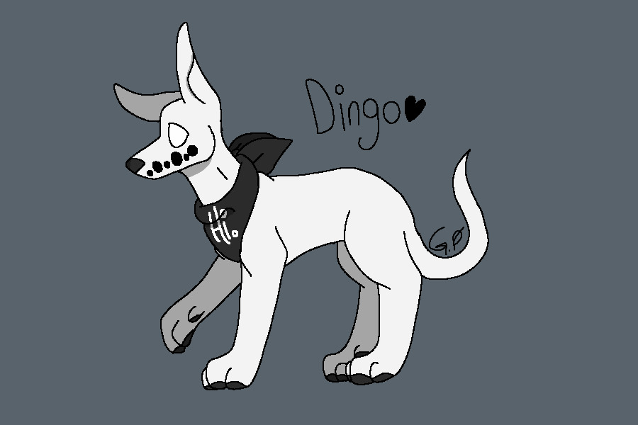 Dingo redraw