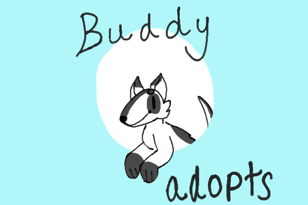 || Buddy Adopts || Take a Pup Home Today ||