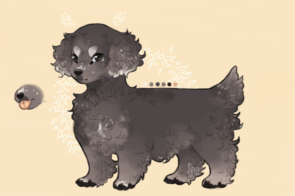 Sham - Sham: Bravest heart