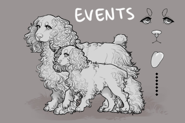 Boer Spaniels Events