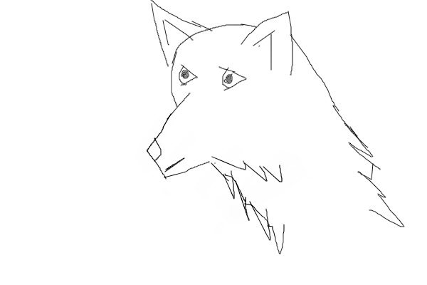2nd Wolf