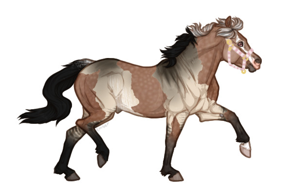 Ferox Welsh Pony #295 - Chimeric