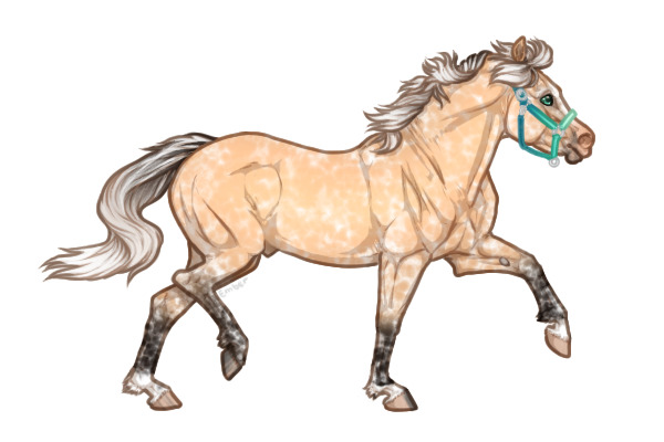 Ferox Welsh Pony #301 - Silver Buckskin Manchado