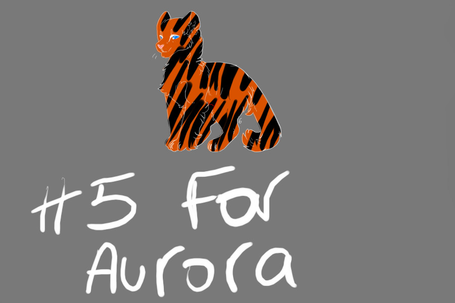 #5 for aurora