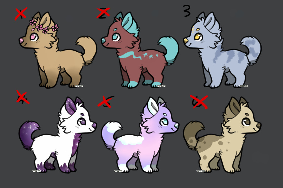 simple pup adopts #3 [1/6 open]