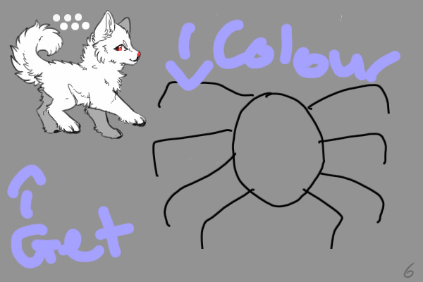 Colour a spider, get a pet