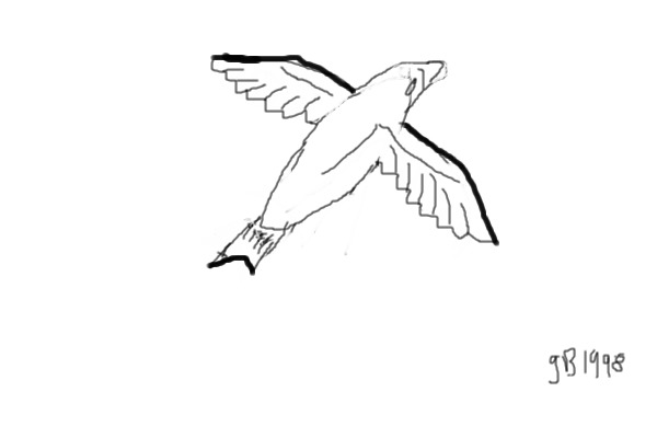 FREE Editable Flying Bird