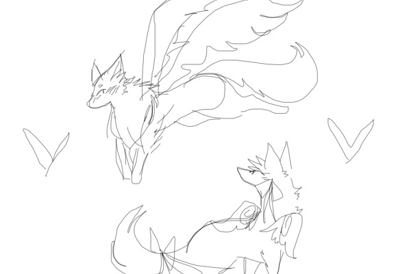 Butterfly Wolf Sketches