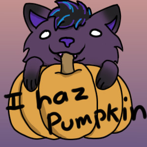 I haz pumpkin