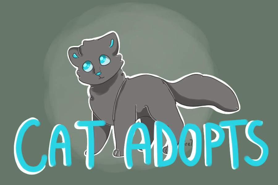 Sapphire's Cat Adopts!