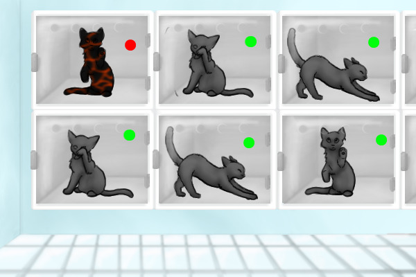 Kitty Adopts!