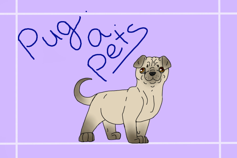 Pug * a * Pets