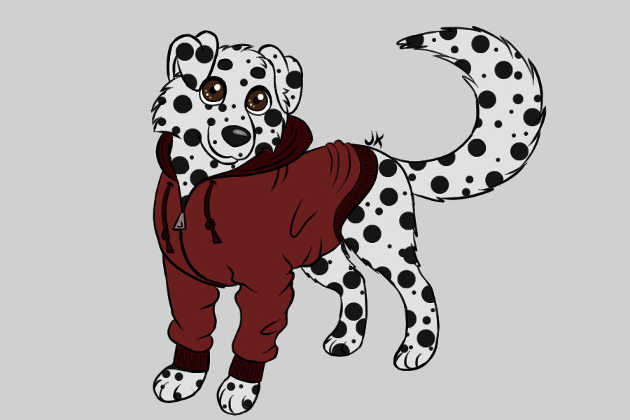 Dalmation in a hoodie