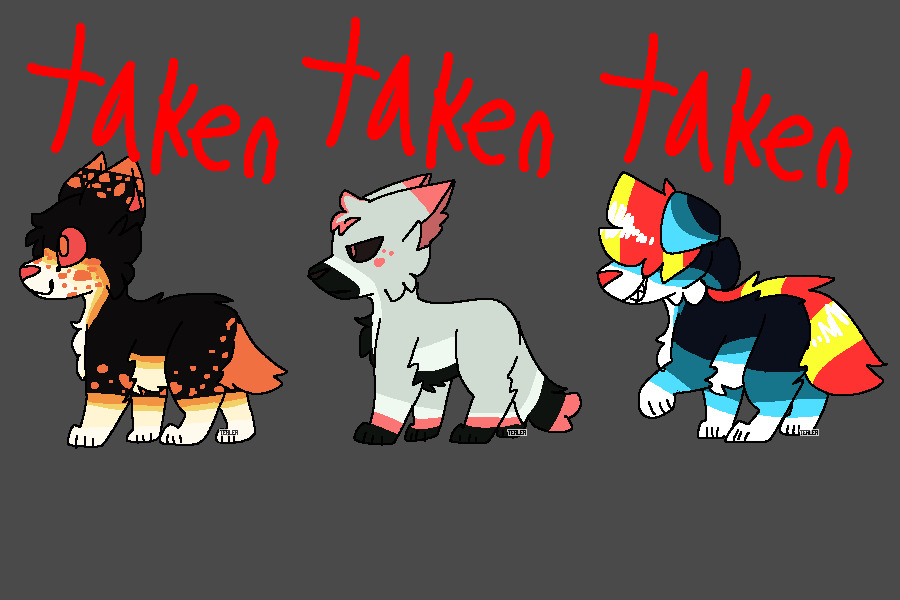 more adoptables :0