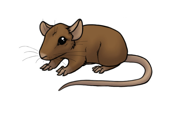 Mouse!