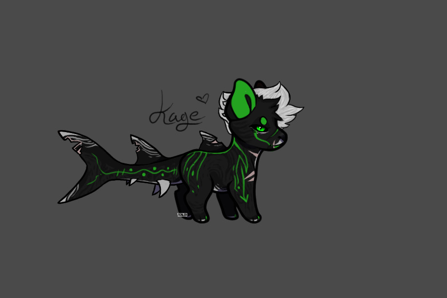 custom for kageyenora