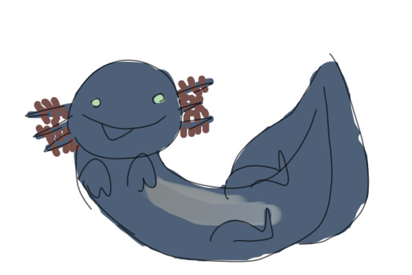 i got an axolotl,, :)