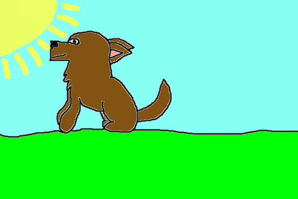 doggy