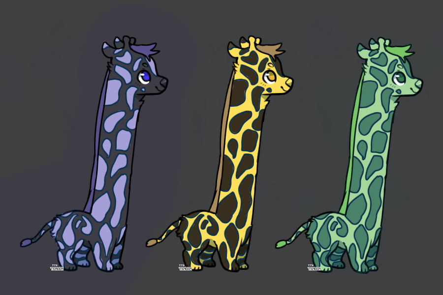 Giraffe Adopts