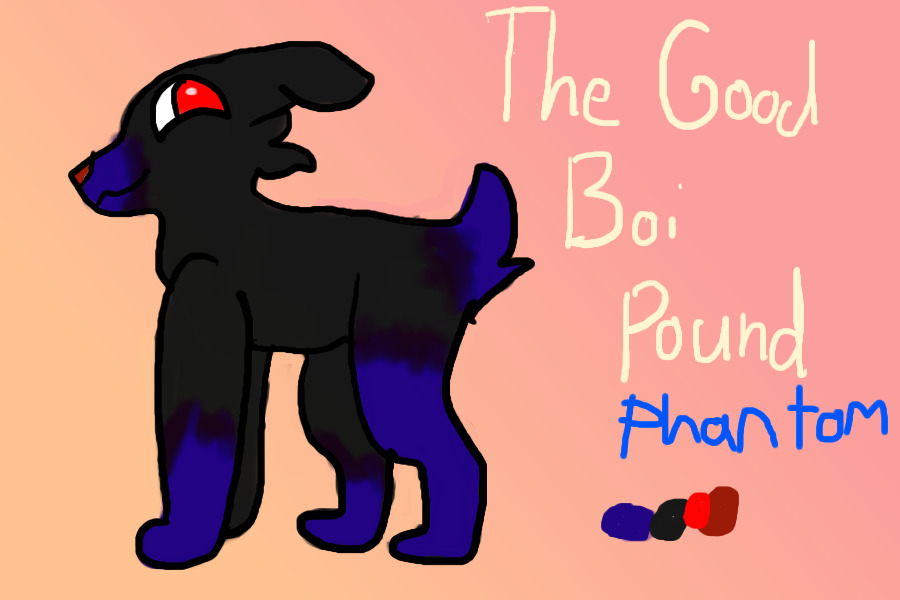 The Good Boi Pound-Phantom
