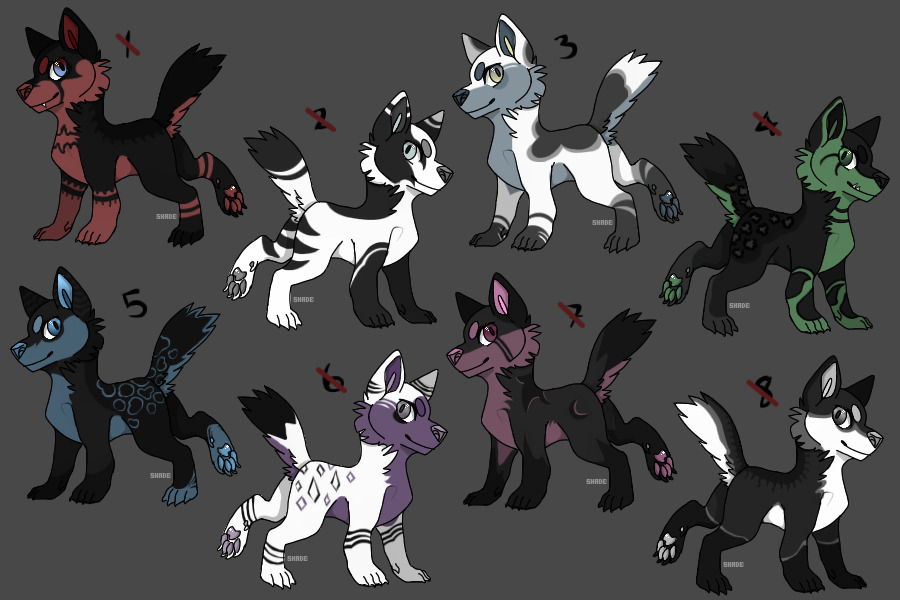 pups for sale [2/8 open]