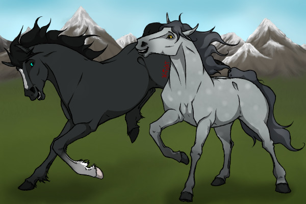 Black stallion and grey speckle mare